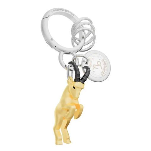 Picture of HOROSCOPE KEYRING - CAPRICORN
